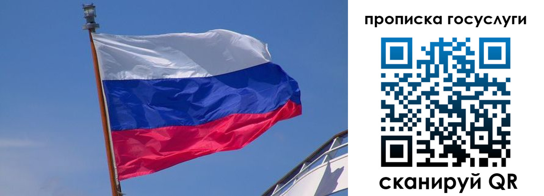 временная регистрация купить в Белгородской области